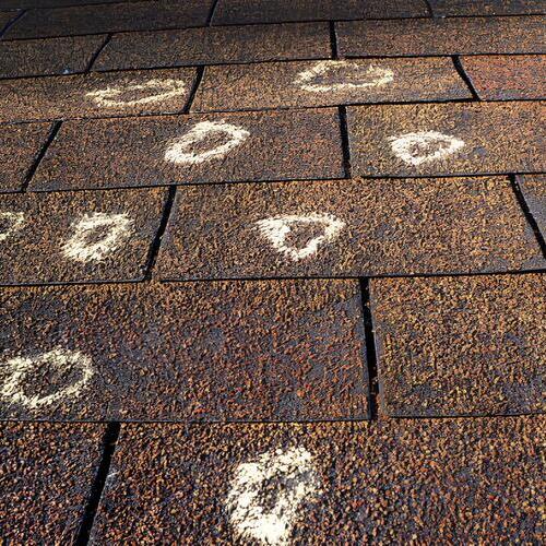 marks made for an insurance claim
