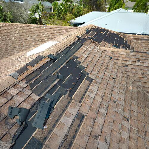 wind damage to a shingle roof